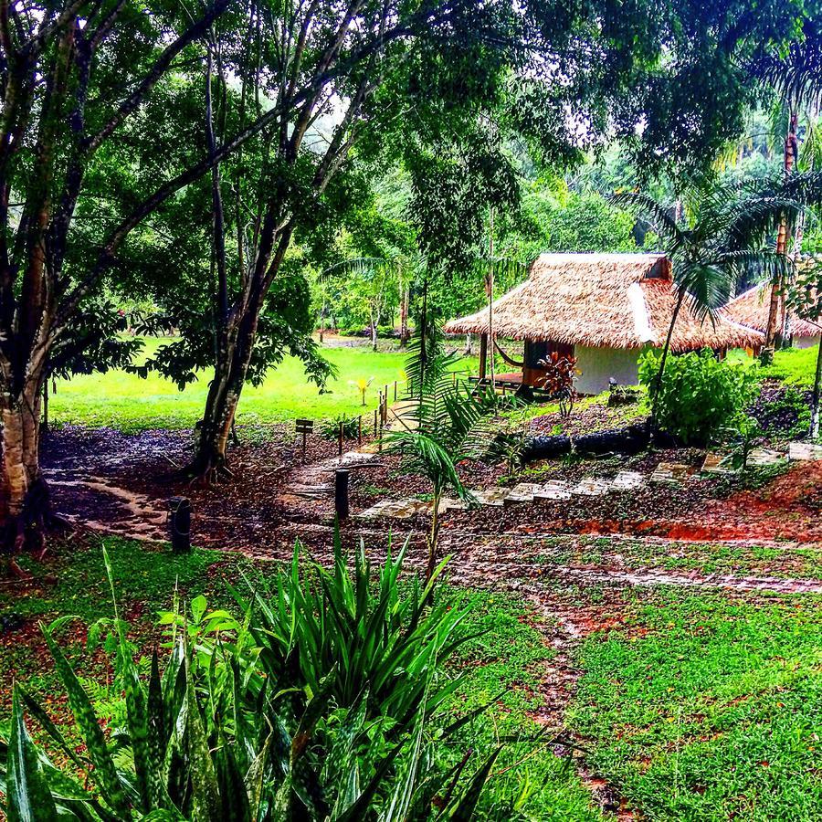 La Habana Amazon Reserve 马尔多纳多港 外观 照片